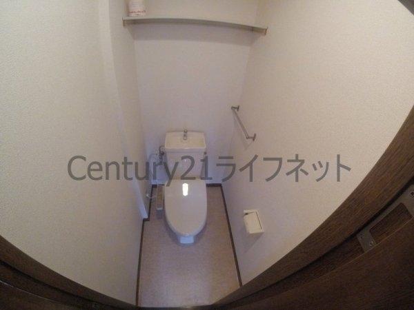 プランドールトダ