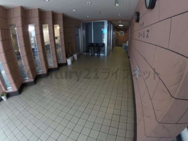 十信前ミールズ