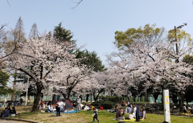 MAXIV　CITY大阪吹田(中の島公園)