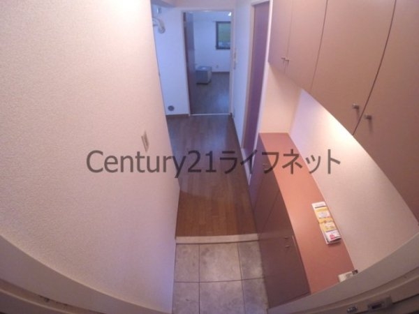 グランゼコールミツフ・サウス