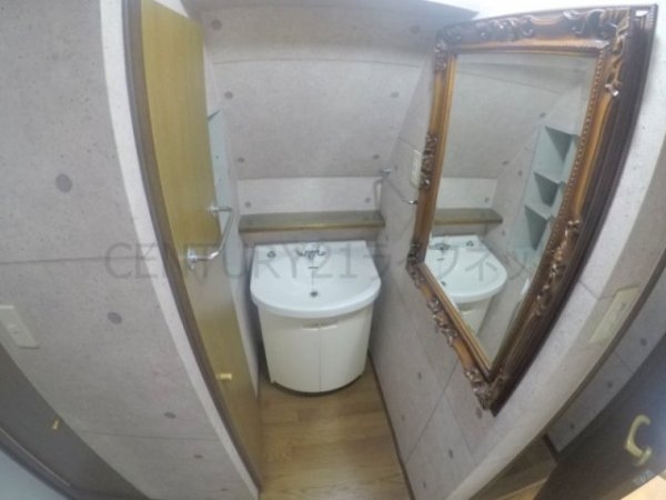 ビートルズ・フォレスト