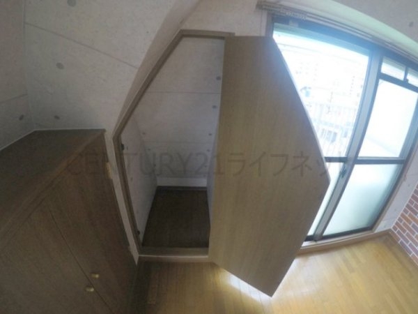 ビートルズ・フォレスト