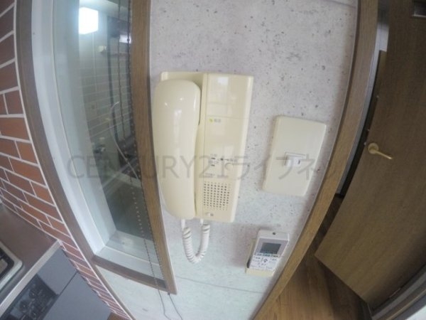 ビートルズ・フォレスト