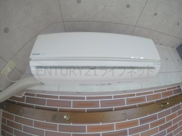 ビートルズ・フォレスト