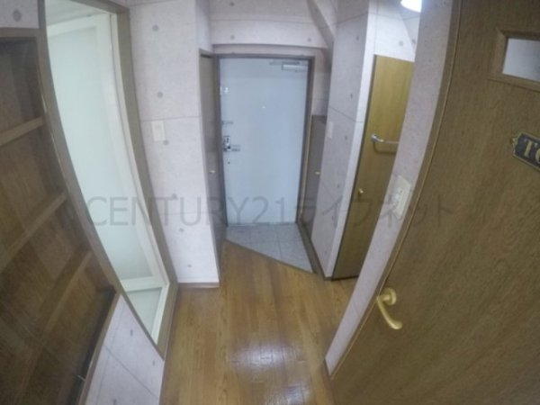 ビートルズ・フォレスト