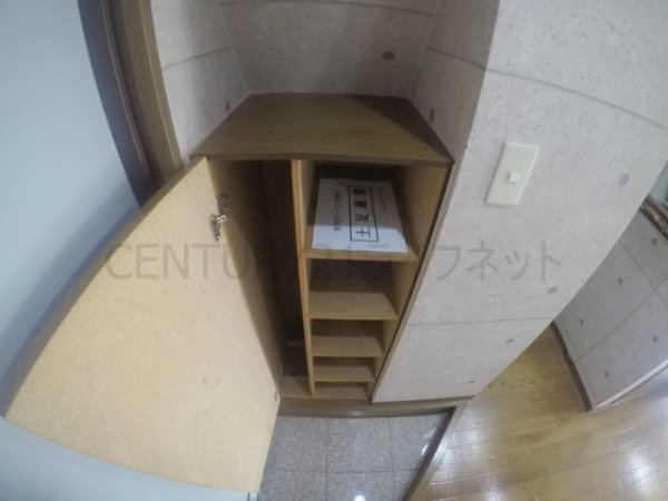 ビートルズ・フォレスト