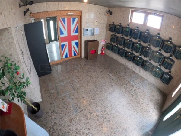 ビートルズ・フォレスト