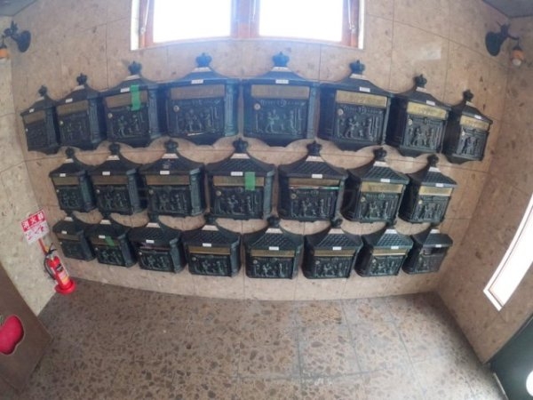 ビートルズ・フォレスト