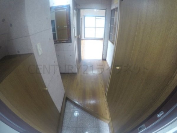 ビートルズ・フォレスト