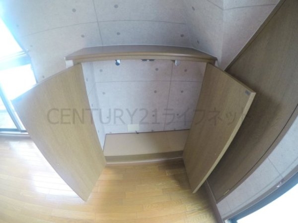 ビートルズ・フォレスト