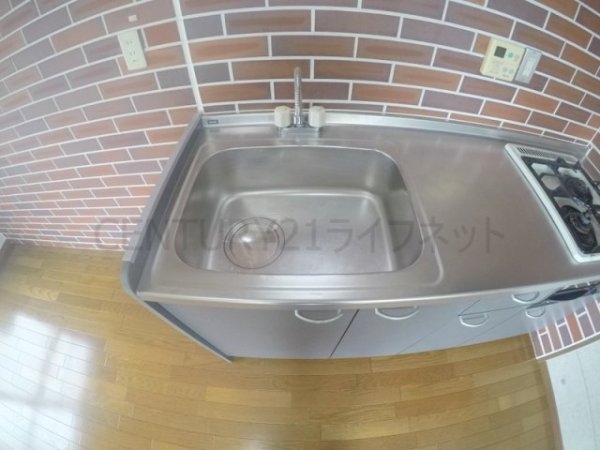 ビートルズ・フォレスト