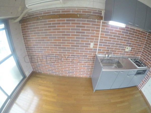 ビートルズ・フォレスト