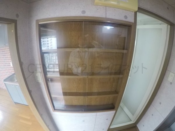 ビートルズ・フォレスト