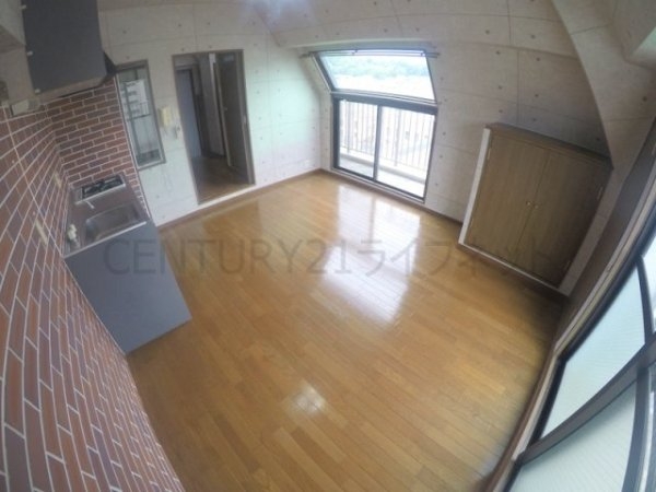 ビートルズ・フォレスト