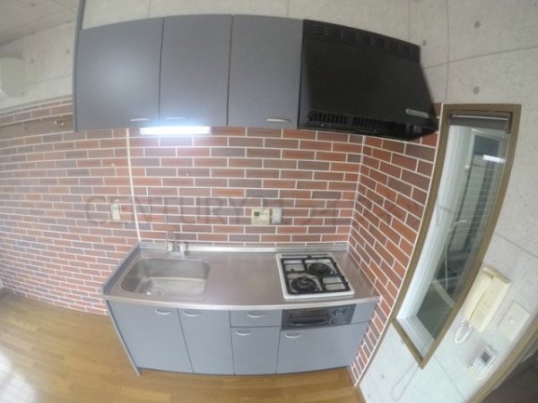 ビートルズ・フォレスト