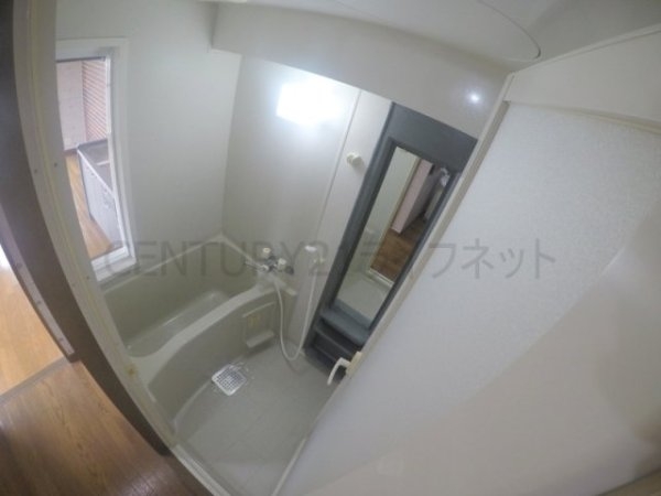 ビートルズ・フォレスト