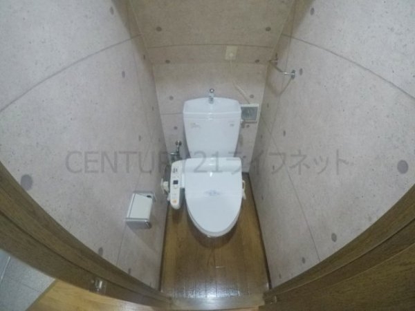 ビートルズ・フォレスト