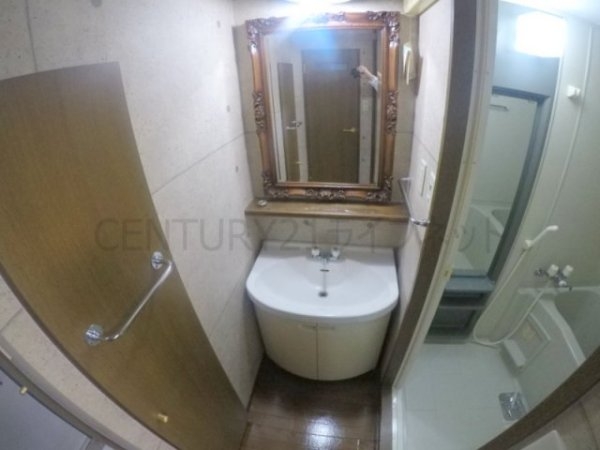 ビートルズ・フォレスト