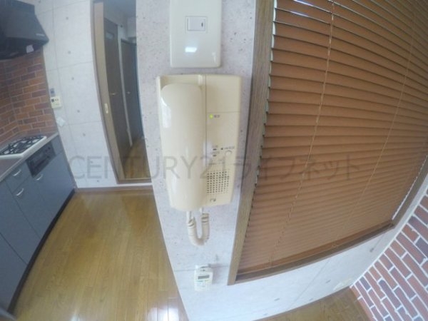 ビートルズ・フォレスト