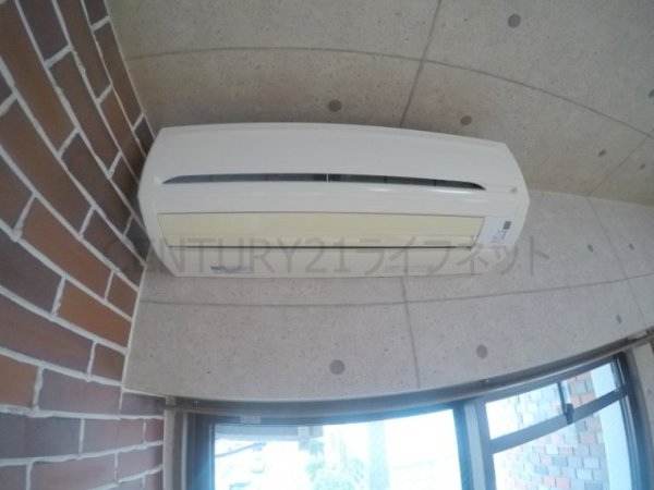 ビートルズ・フォレスト