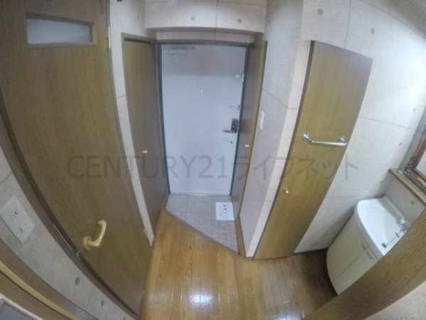 ビートルズ・フォレスト