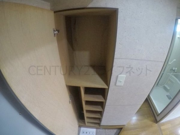 ビートルズ・フォレスト