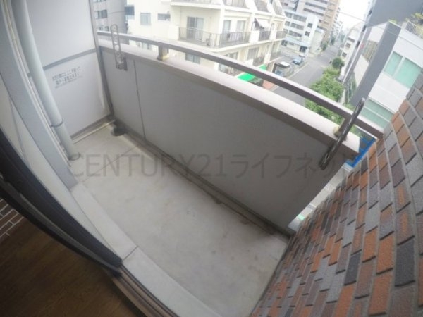 ビートルズ・フォレスト