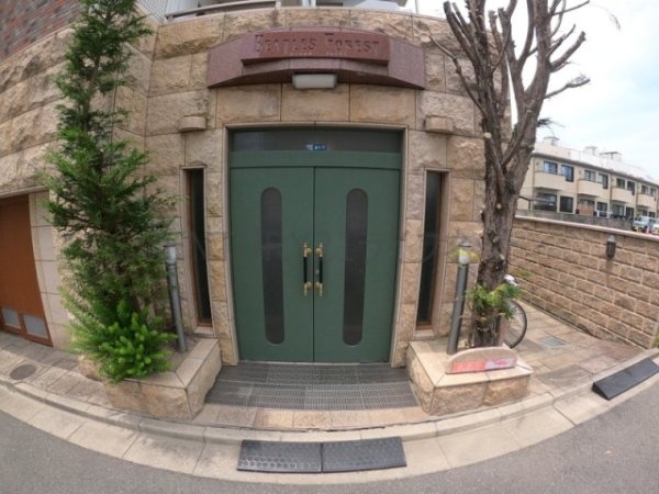 ビートルズ・フォレスト