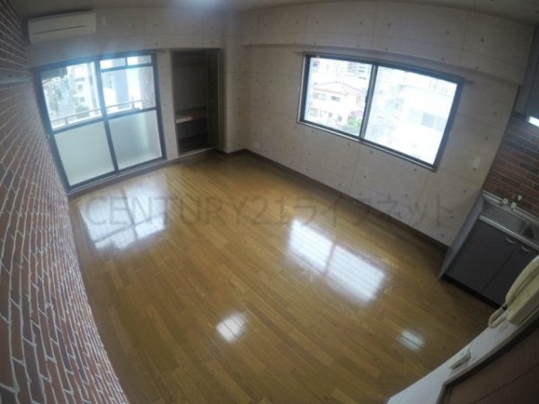 ビートルズ・フォレスト