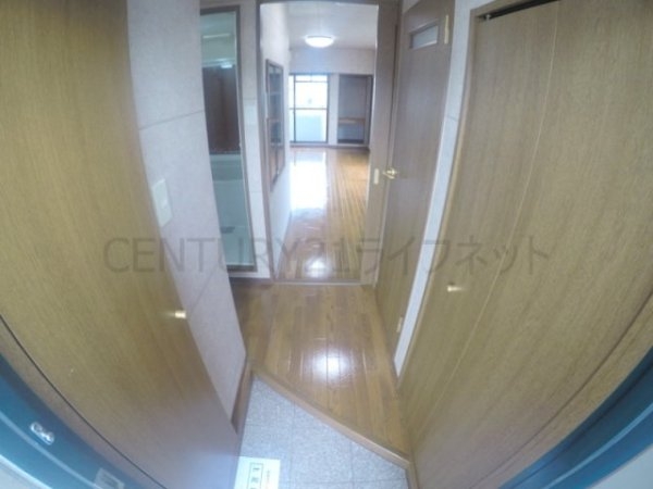 ビートルズ・フォレスト