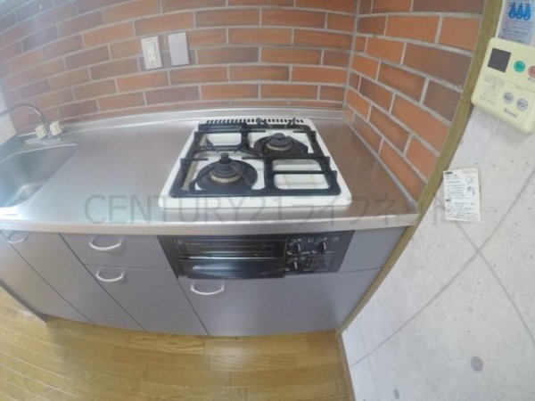 ビートルズ・フォレスト