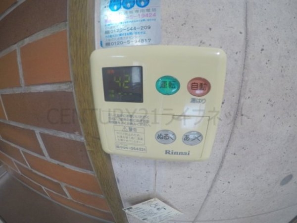 ビートルズ・フォレスト