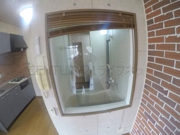 ビートルズ・フォレスト