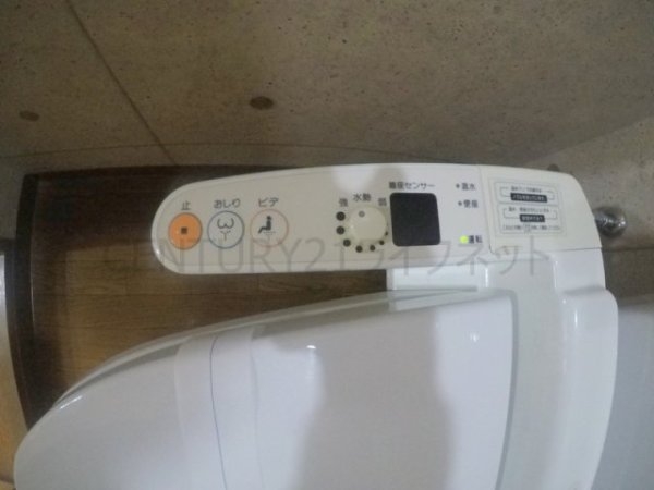 ビートルズ・フォレスト