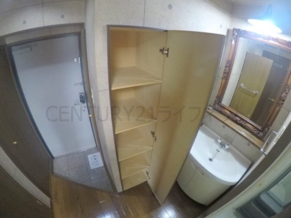 ビートルズ・フォレスト