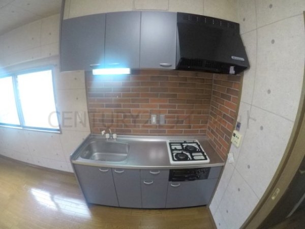 ビートルズ・フォレスト