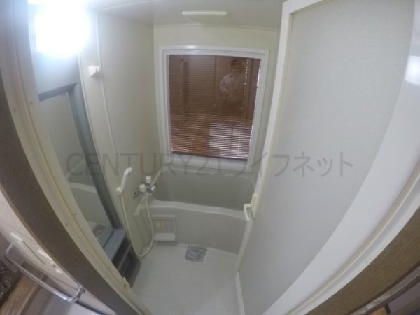 ビートルズ・フォレスト