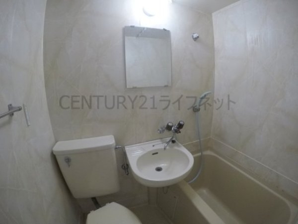 シロハイヌ新大阪