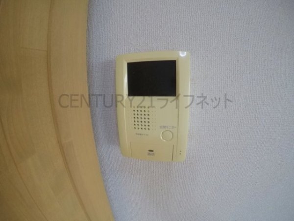 シロハイヌ新大阪