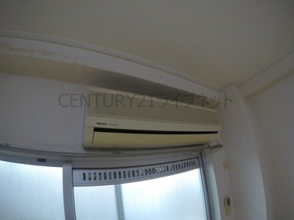 シロハイヌ新大阪