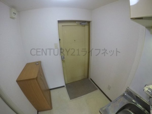 シロハイヌ新大阪