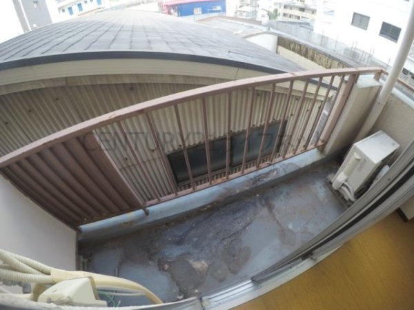 シロハイヌ新大阪