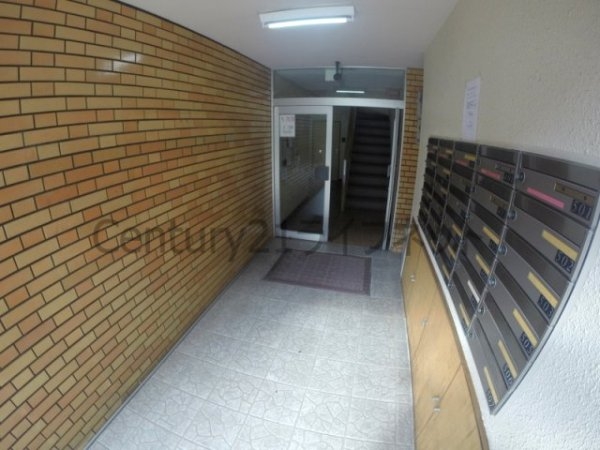 シロハイヌ新大阪