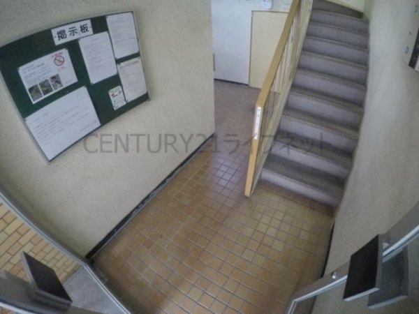 シロハイヌ新大阪