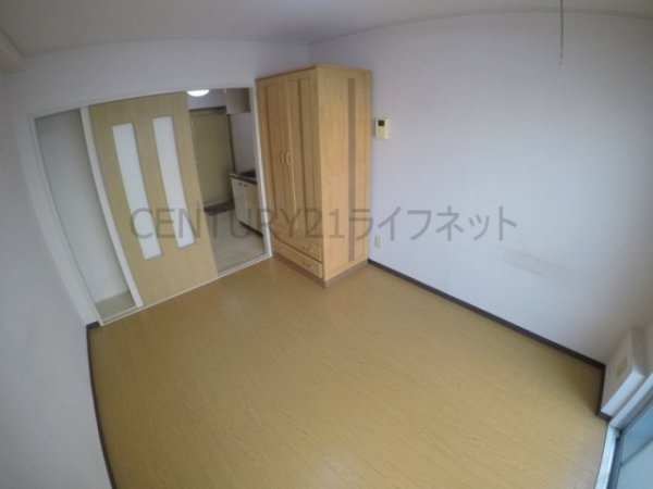 シロハイヌ新大阪