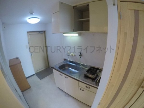 シロハイヌ新大阪