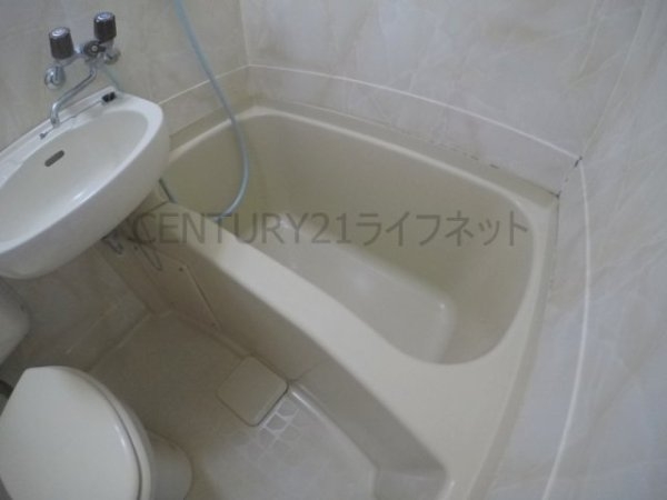 シロハイヌ新大阪