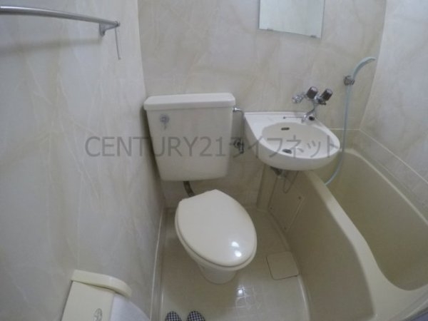 シロハイヌ新大阪