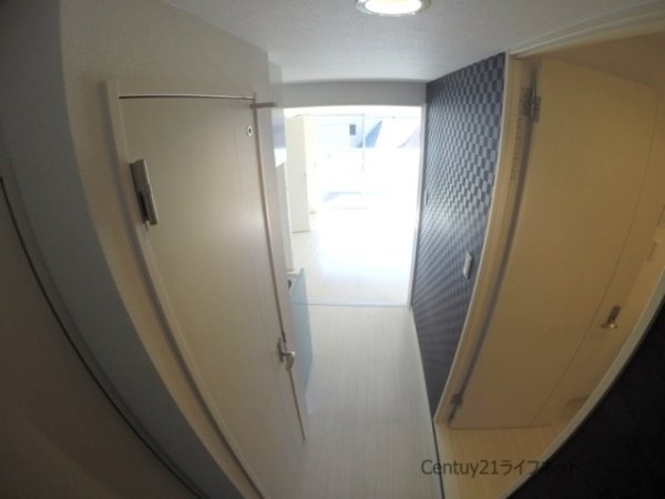 DolceVita1（ファースト）