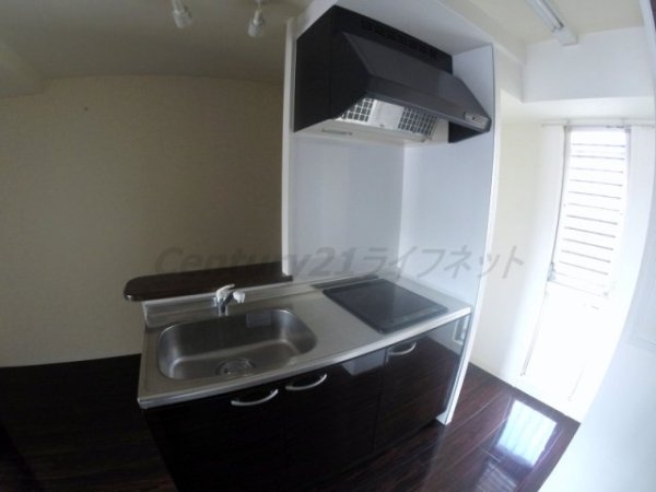 セレブコート新北野